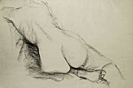 naakt schilderij - naakten - houtskooltekening naakten uit de kunst - houtskooltekening -